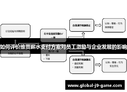 如何评价维贾薪水支付方案对员工激励与企业发展的影响