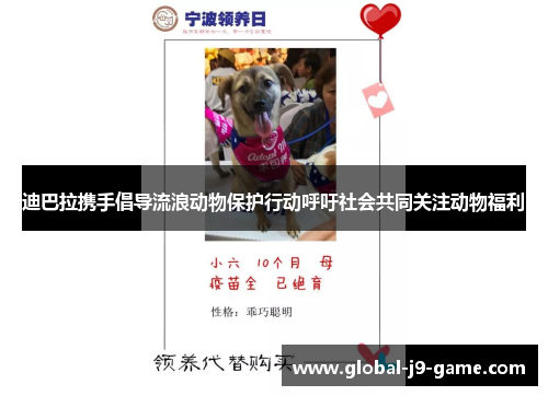 迪巴拉携手倡导流浪动物保护行动呼吁社会共同关注动物福利 迪巴拉携手倡导流浪动物保护行动呼吁社会共同关注动物福利