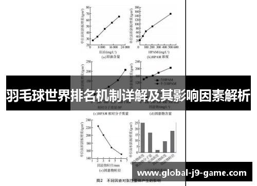 羽毛球世界排名机制详解及其影响因素解析 羽毛球世界排名机制详解及其影响因素解析