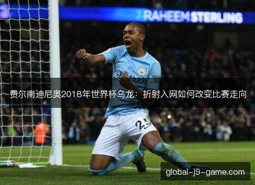 费尔南迪尼奥2018年世界杯乌龙：折射入网如何改变比赛走向